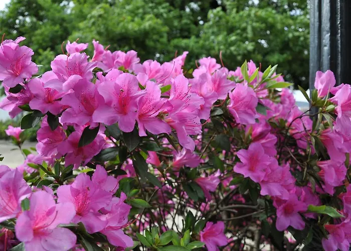 O Coreto Pensionat 3*