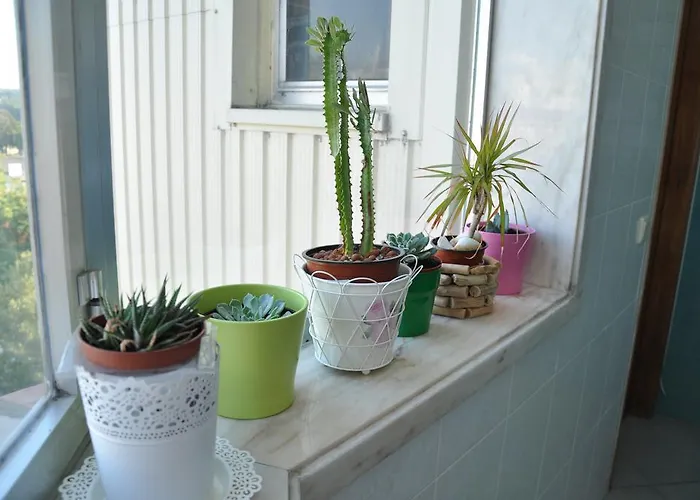 Pensionat O Coreto 3*